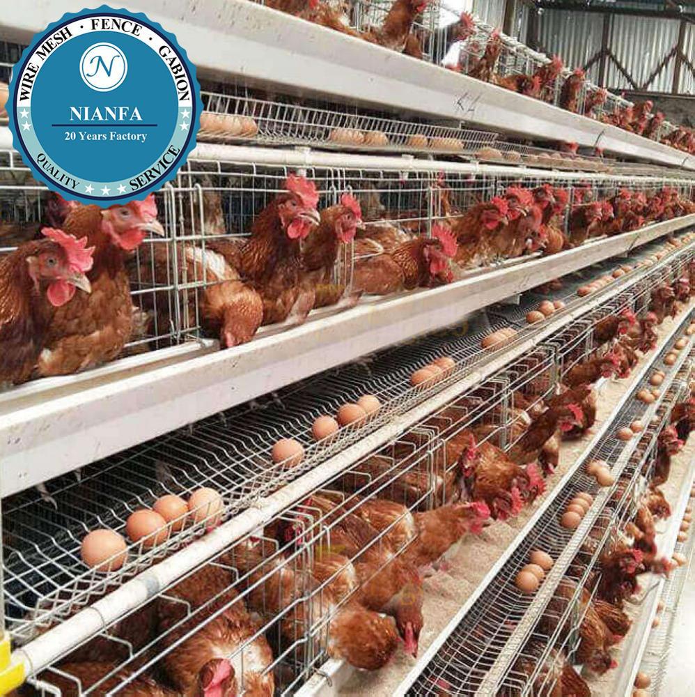 Горячая Распродажа, брошь для птицы, оборудование для кур, клетка для нигерийской многослойной фермы (завод в Гуанчжоу)