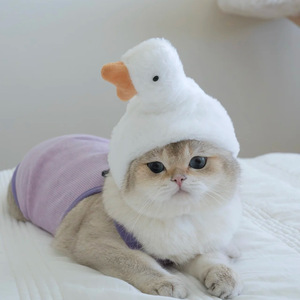 Chapeaux pour animaux de compagnie en peluche chaude, motif ours mignon, couleur unie, toutes saisons, Noël, fabriqués en Chine, par le fabricant 2026 - Product Image 2