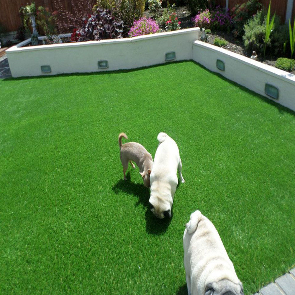 Friendly Backyard Ideas Dog Friendly Grass Dog Potty Area In