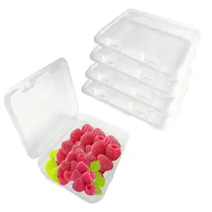 Einweg-transparente Clamshell-Snack-Obst-Verpackungs boxen Klarer Kunststoff-Klapp-Clamshell-Behälter