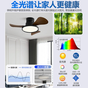 <b>Ceiling</b> <b>Fan</b> With Led Light 220V Flush Mount For Bedroom Study Quiet Operation Fixed Blade Design - Product Image 3