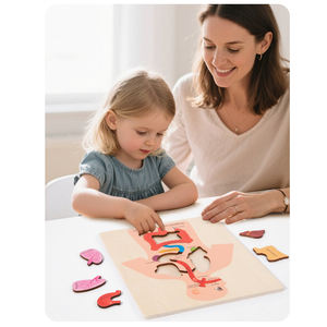 Casse-tête d'apprentissage personnalisé pour organes humains Parties du corps Blocs de cognition Jeux de société assortis Jouets éducatifs pour enfants Garçons Filles - Product Image 2