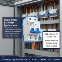 Disjoncteur industriel robuste 2P MCB 380V 6kA ADB3-125 Courbe C 80A 100A 125A IEC60947-2 CE CB KEMA