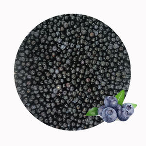 IQF 냉동 블루 베리 전체 | 천연, 첨가제 없음 | 식품 산업 고객을위한 일관된 공급 - Product Image 1