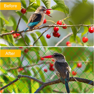 Red antiaves para protección de árboles frutales, estanque de plantas de cerezo, <span class=keywords><strong>mirtilo</strong></span>, Árbol frutal - Product Image 2
