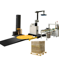 Robot Colaborativo para una Solución de Paletización Automatizada y Rentable