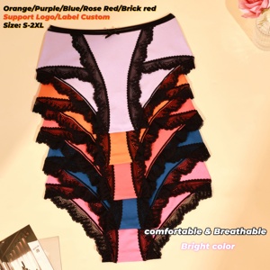Braguitas Cómodas y Transpirables para Mujer, Diseño de Encaje de Color Sólido, Bragas con Soporte, ODM OEM, Ropa Interior de Tallas Grandes para Mujer - Product Image 1