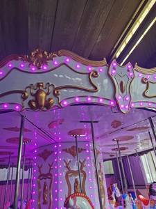 Grande carrousel électrique d'extérieur pour enfants, construction en fibre de verre et métal, utilisation intérieure/extérieure, centre commercial, amusement - Product Image 6