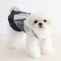 Robe élégante pour animaux de compagnie avec grand nœud, robe rayée pour chien et chat, collection printemps-été
