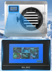 Secador Industrial de Acero Inoxidable por Congelación al Vacío a Baja Temperatura para Alimentos, Utilizado para la Producción de Frutas, Verduras, Carne y Aperitivos - Product Image 4