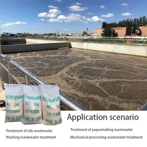 Coagulante en Polvo para Tratamiento de Aguas Residuales, Cloruro de Polialuminio (PAC) 26% 30%, <span class=keywords><strong>Floculante</strong></span>, Precio Económico - Product Image 5
