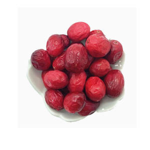 Vente en gros de snacks croustillants sains et de canneberges lyophilisées en vrac, très demandés - Product Image 2