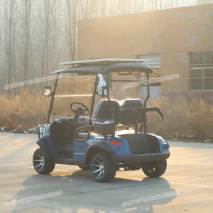 彩虹豪华电动定制2座高尔夫球车，带5kw电机和48v电池，用于俱乐部和高尔夫球场 - Product Image 4