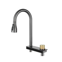 Robinet de cuisine à double trou en acier inoxydable, cascade Fly Rain avec douchette extractible, pour grand lavabo simple