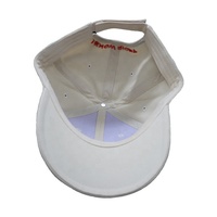 Sportif américain couleur unie plaque lumineuse Camouflage casquette de Baseball Sports de plein air voyage crème solaire ombre canard langue conception
