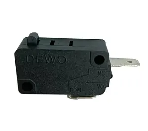 Wholesale Micro Switches Water Heater Push Button 16a 40t85 Micro Switch