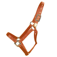 Conception de votre propre licou de cheval coloré en Nylon imprimé de transfert de chaleur accessoires de licou de cheval pour chevaux