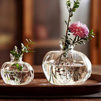 Vase en verre créatif en forme de grenade, mini-récipient hydroponique pour fleurs séchées, décoration de table, cadeau de fête