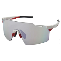 Lunettes de soleil de sport polarisées UV400 coupe-vent pour hommes, logo personnalisé, monture TR90, verres multicolores, lunettes de sport pour la randonnée et l'escalade