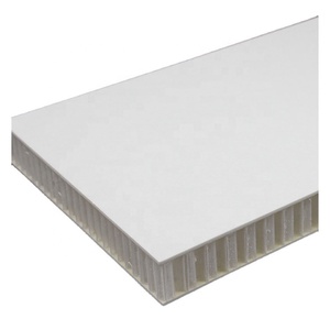 FRP XPS <span class=keywords><strong>Mousse</strong></span> Composite <span class=keywords><strong>Panneau</strong></span> Plancher Frp Sandwich Panneaux Pour Rv - Product Image 4
