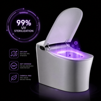 WC intelligent monobloc en céramique avec bidet intégré pour salle de bain, ensemble de sanitaires pour projets hôteliers