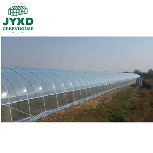 Hot dip galvanized steel agricultural greenhouse for vertical farming with irrigation hydroponics equipment