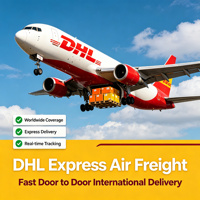 Agent d'expédition express internationale DHL, fret aérien, livraison porte à porte dans le monde entier, service de messagerie rapide