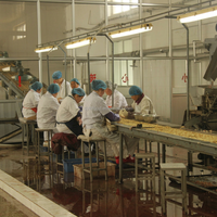 Cerneaux d'arachides bruts blanchis d'origine Shandong, faible teneur en aflatoxine, approvisionnement en vrac pour la fabrication du chocolat