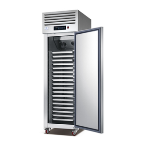 New Product Commercial Kitchen <b>Freezer</b> Upright Stainless Steel 18 Trays Refrigerator Frozen Storage Equipment BD500LFK Commercia - Product Image 5