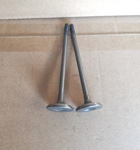 500362855 di fabbrica 500362856 valvola del motore per Fiat 2.3 In 30*6*120.4 Ex 30*6*120.4 - Product Image 5