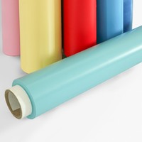 Fabricant de film PVC plastique résistant et coloré, film souple gonflable pour jouets d'enfants, usine de film plastique PVC gonflable