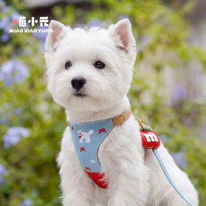 Arnés para mascotas Miao Xiaoyuan, correa ajustable para el pecho para perros pequeños, estilo de dibujos animados, con correa incluida - Product Image 1