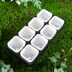 Plateau en plastique à 8 alvéoles, support pour pot de fleurs, boîte de pépinière transparente, plateau de germination pour plantes avec couvercle de base à dôme d'humidité - Product Image 6