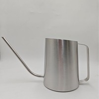 DD4548 arrosoir moderne en acier inoxydable de grande capacité 1.6L avec pot d'arrosage à longue bouche oblique