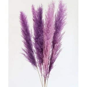 Vase à pampilles décoration de l'herbe, nouvelle collection, petit format, plantes naturelles, roseaux séchés, mauve - Product Image 2