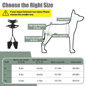 Attelle de genou réglable pour chien - Attelle de soutien de la ligament croisé antérieur (LCA) pour les pattes arrière des chiens |   Soulage les blessures des ligaments, les douleurs articulaires et la dysplasie de la hanche - Product Image 5