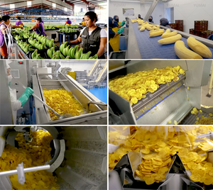 Máquina para hacer <span class=keywords><strong>chips</strong></span> de plátano y <span class=keywords><strong>banana</strong></span> a gas, totalmente automática, de 100 kg/h, a pequeña escala, a la venta - Product Image 2