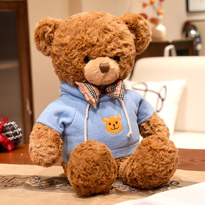 Nouvelle Peluche Ours en Peluche 2026 – Vente en Gros de Poupées Ours en Peluche - Product Image 6
