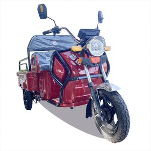 Fashion 60V <strong>Trimoto</strong> <strong>Electric</strong> With Cheap <strong>Price</strong> - Product Image 1