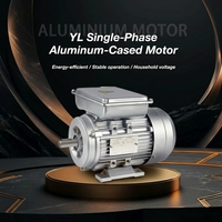 Moteur à induction monophasé à double condensateur série YL haute efficacité 4KW 5.5HP 2 pôles 220V 50Hz 60Hz 2850 tr/min pour souffleur