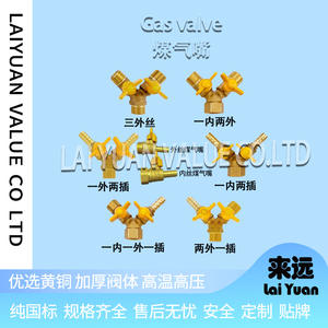 Ventes directes d'usine Laiyuan de flacons à oxyde gazeux et de vannes à gaz, raccords en T, vannes à bille et vannes à boisseau - Product Image 3