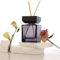 Bouteille diffuseur en verre de 100 ml de forme carrée avec bouchon et joint à brosse pour huiles essentielles d'aromathérapie