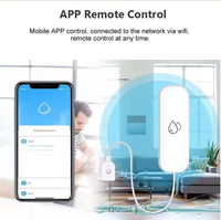 Capteur de fuite d'eau intelligent WiFi Tuay, connecté au réseau WiFi, pour la maison, la cuisine, la salle de bain, système de sécurité contrôlé par l'application Smart Life