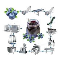 ORME Automatische Fruitjam Productielijn Tomatenpuree Aardbei Blauwe Bes Frambozenjam Productie Verwerkingsapparatuur