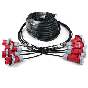 Câble d'alimentation 4 voies avec plusieurs connecteurs, conducteur en cuivre 250V, isolation en PVC, pour éclairage de scène - Product Image 2