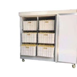 Máquina Automática para <span class=keywords><strong>Germinar</strong></span> Brotecitos de Frijol, Germinadora Comercial de Frijol Mungo y <span class=keywords><strong>Soja</strong></span>, Equipo Inteligente de Germinación con Control Climático - Product Image 5