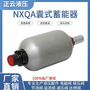 ไฮดรอลิกอะคูมูเลเตอร์ Nxqa 0.63L 1L 2.5L 4L 6.3L 10L 16L 10Mpa พร้อมติดตั้ง Sac - Product Image 3