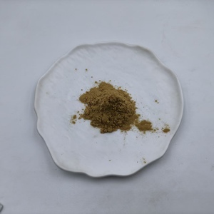 Poudre d'échinacée purpuree en vrac 1% 4% Qualité alimentaire Extrait d'échinacée purpuree Acide cichorique - Product Image 3