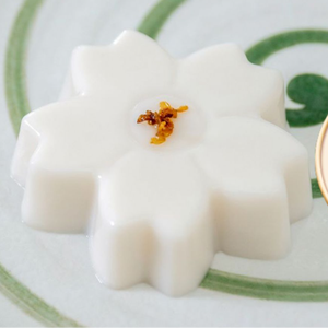 Crème glacée congelée Amande congelée Tofu Dessert Faible en cholestérol Riche en nutriments Sans lactose - Product Image 4
