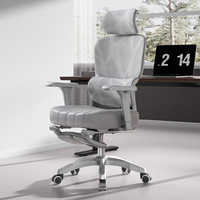 Bureau à domicile Conférence Formation Personnel Étudiant Commercial Moderne Luxe Confortable Exécutif Dossier Haut Ergonomique Chaise en Maille